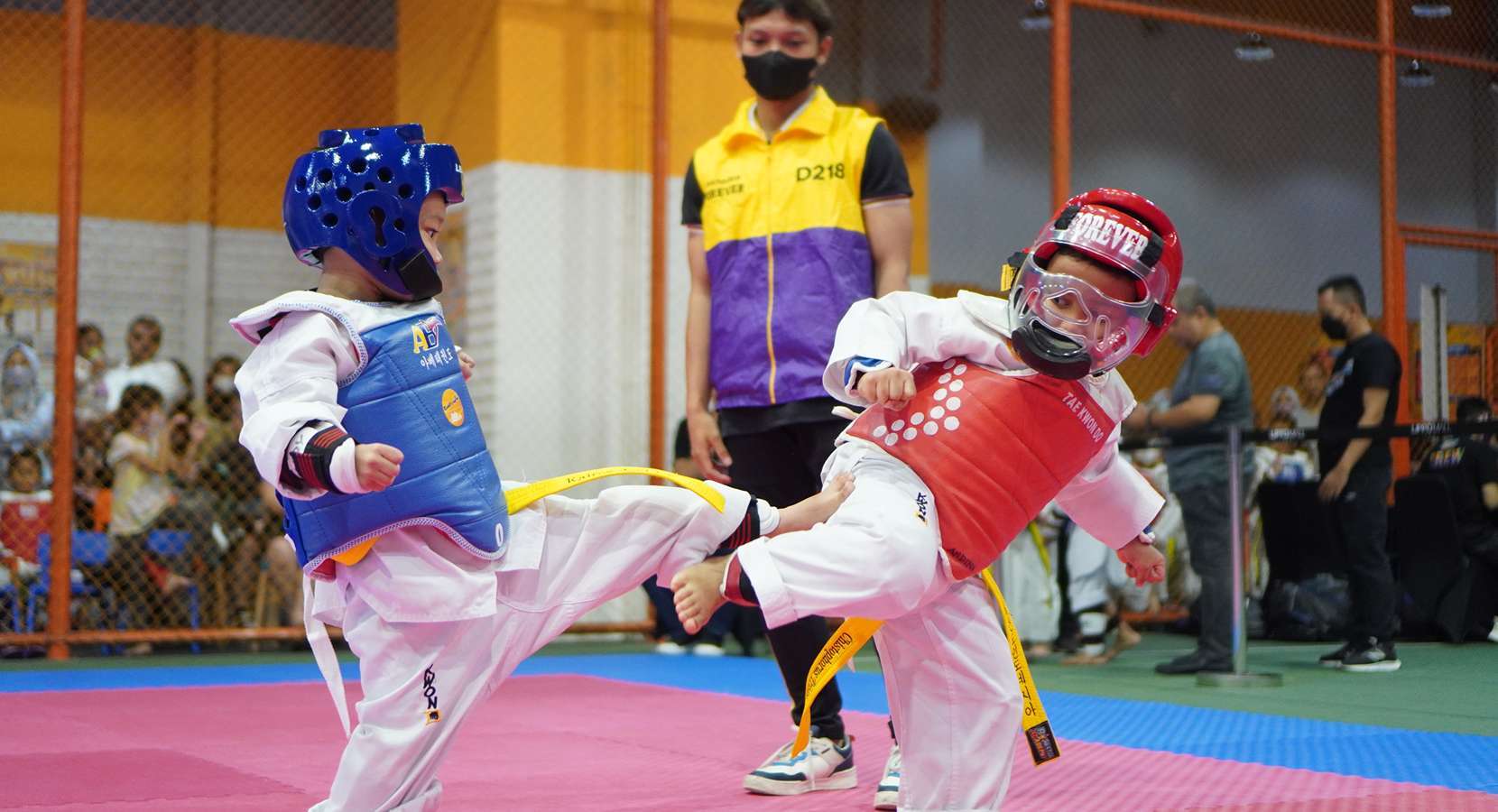  10 Various Kinds of Mixed Martial Arts Moves You Must Learn!