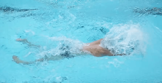 butterfly swimming kicking technique