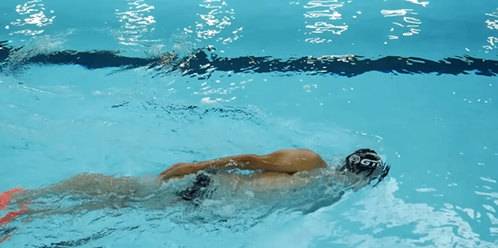 butterfly swim technique
